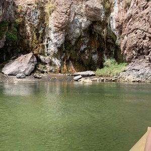 Meet your Posher, Sandy